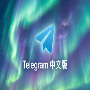 Telegram 中文版群组管理员权限设置详解（亲测可用） - Telegram 官网