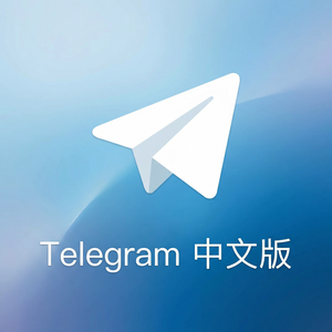 纸飞机中文版媒体文件自动下载设置与存储管理 - Telegram 官网